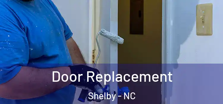  Door Replacement Shelby - NC
