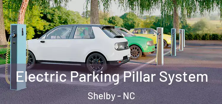 Electric Parking Pillar System Shelby - NC