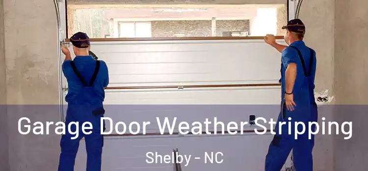  Garage Door Weather Stripping Shelby - NC