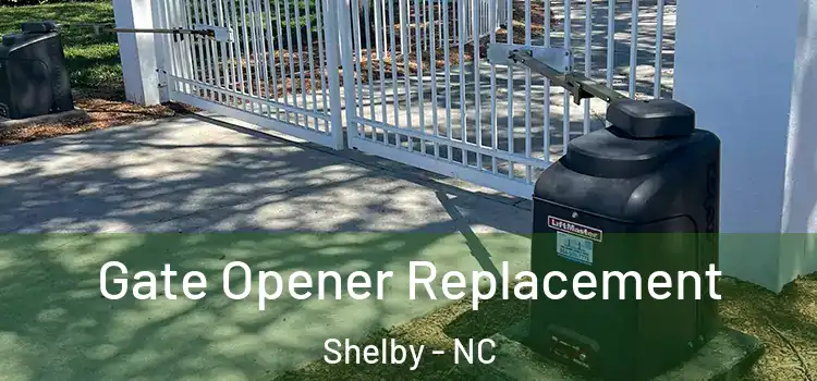  Gate Opener Replacement Shelby - NC