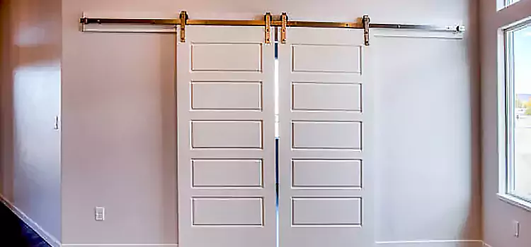 Glass Barn Door with Installation Hardware Kit Shelby