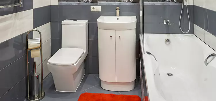 Hansgrohe Shaving Mirror Shelby