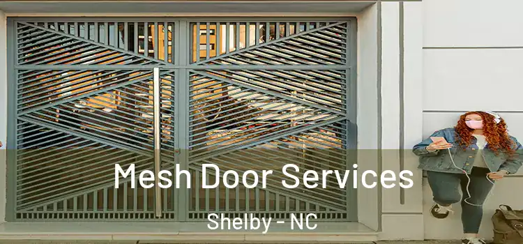  Mesh Door Services Shelby - NC