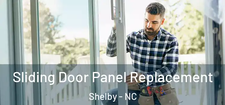  Sliding Door Panel Replacement Shelby - NC